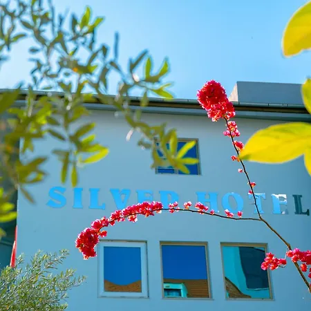 Hotel Silver
