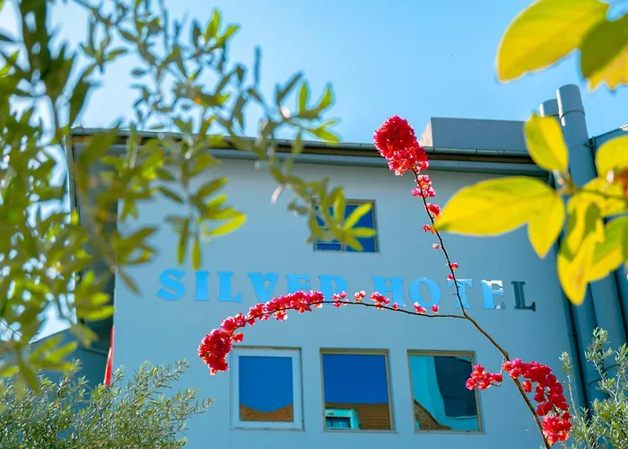 Hotel Silver